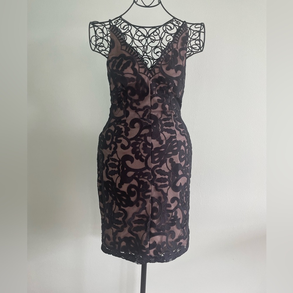 Seek the label open back mini dress in black